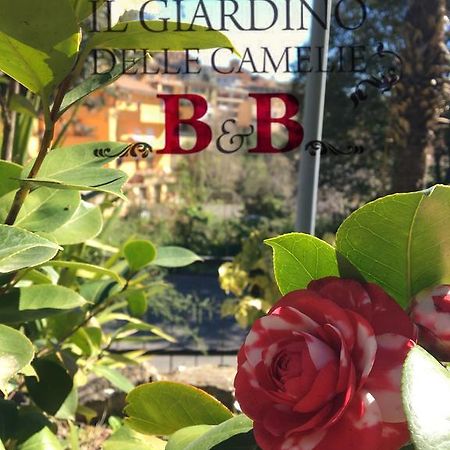 B&B Il Giardino Delle Camelie Palestrina Buitenkant foto
