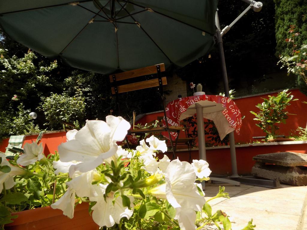 B&B Il Giardino Delle Camelie Palestrina Buitenkant foto