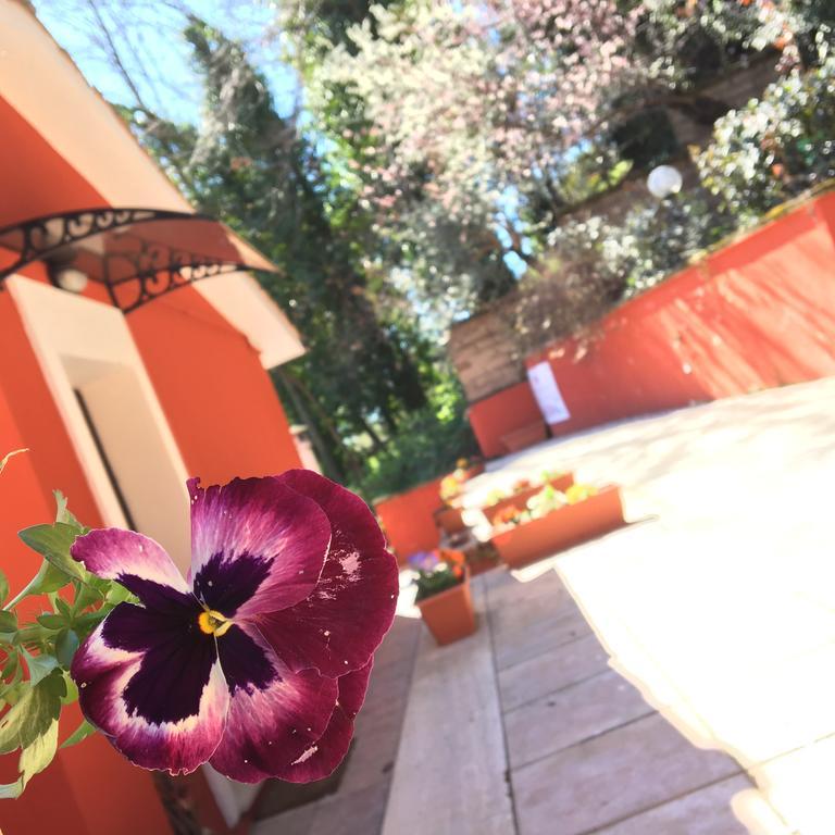 B&B Il Giardino Delle Camelie Palestrina Buitenkant foto