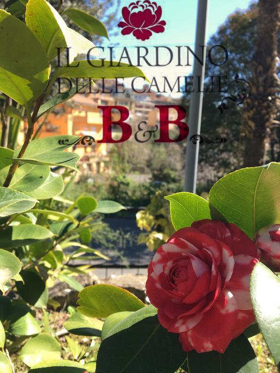 B&B Il Giardino Delle Camelie Palestrina Buitenkant foto