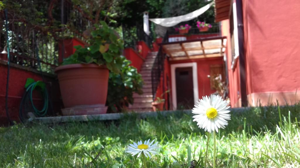 B&B Il Giardino Delle Camelie Palestrina Buitenkant foto