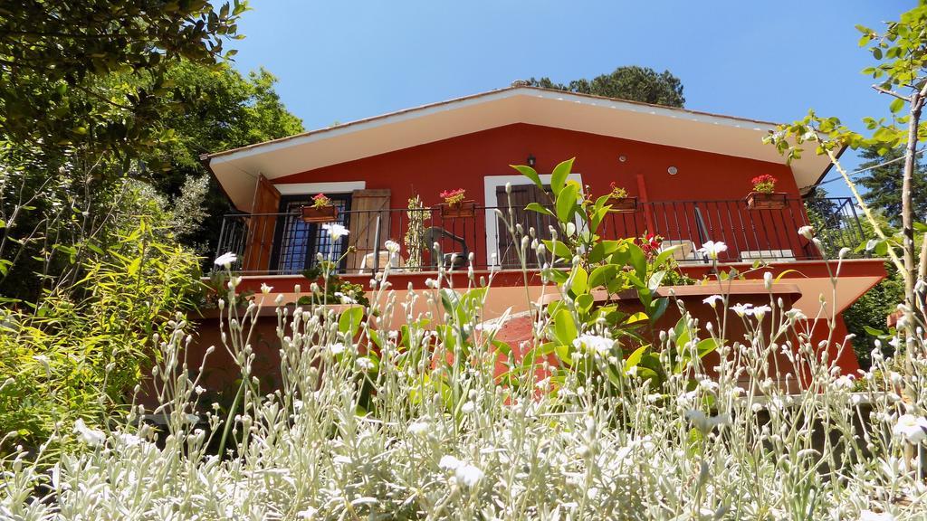 B&B Il Giardino Delle Camelie Palestrina Buitenkant foto