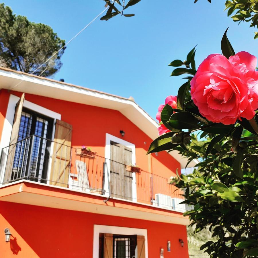B&B Il Giardino Delle Camelie Palestrina Buitenkant foto